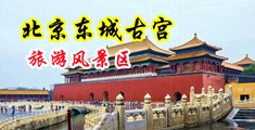 日韩肉色丝袜被大鸡吧肏视频系列中国北京-东城古宫旅游风景区